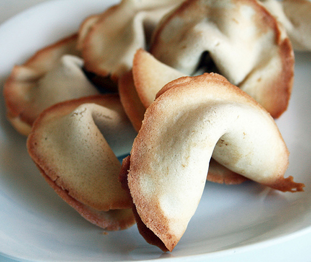 new year fortune cookies 6 new years activities 187 bellissima new year fortune cookies 6 new years activities 187 bellissima
